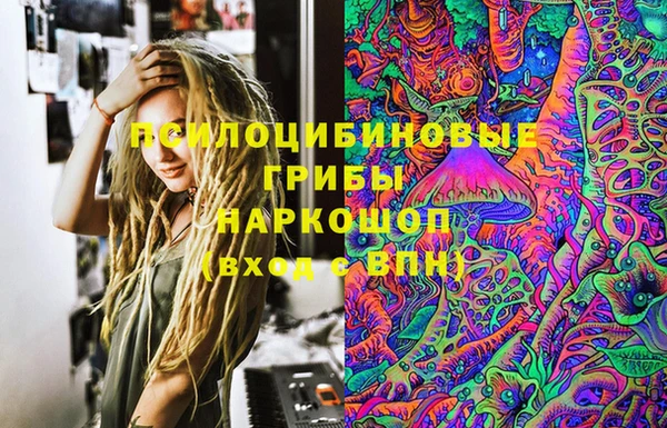 СК Богородицк
