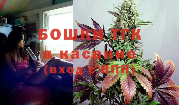шишки Сосновка