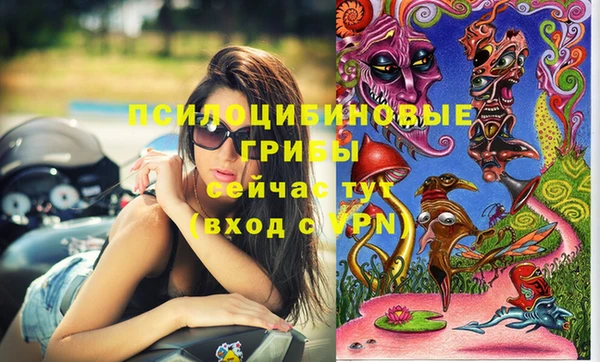 бутират Богданович