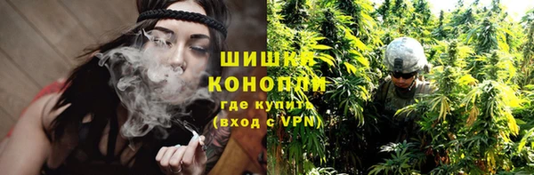 СК Богородицк