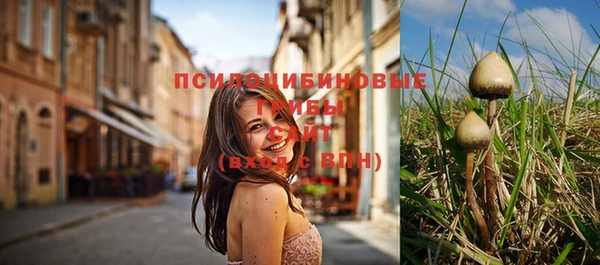 бутират Богданович