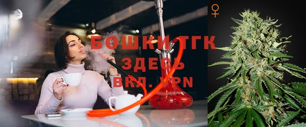 СК Богородицк