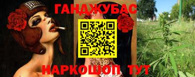 молекула духа Жуковский
