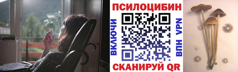купить   Малоярославец  Галлюциногенные грибы мухоморы 