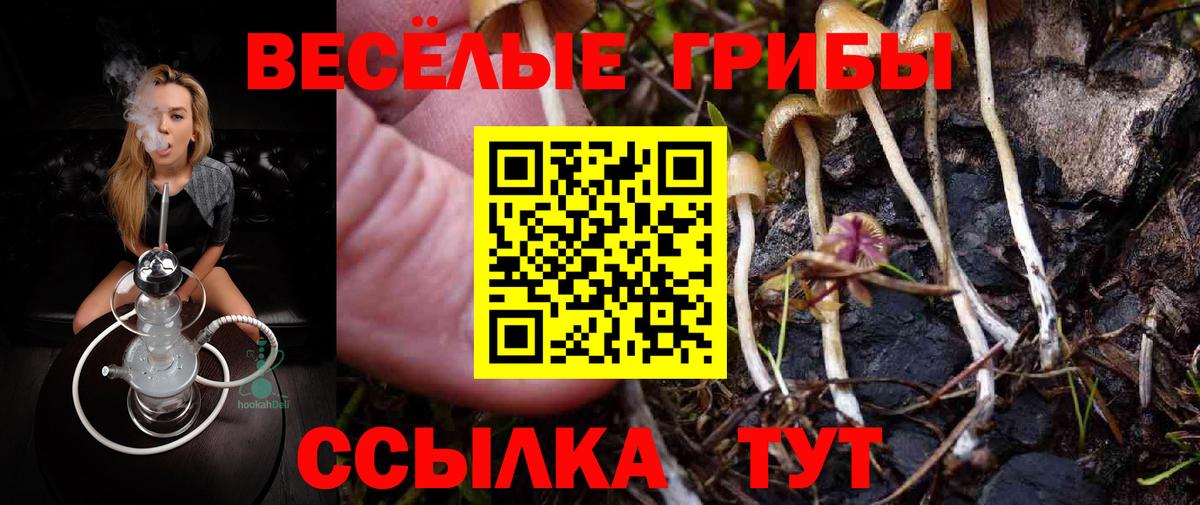Малоярославец  Галлюциногенные грибы мухоморы  Вход с VPN 